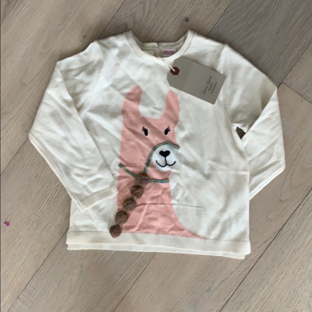 Llama Sweater